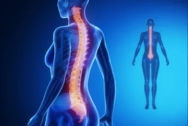Spinal Anatomy Video