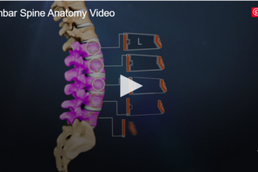 Lumbar Spine Anatomy and Pain