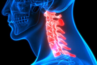 Cervical Spinal Cord Anatomy Animation